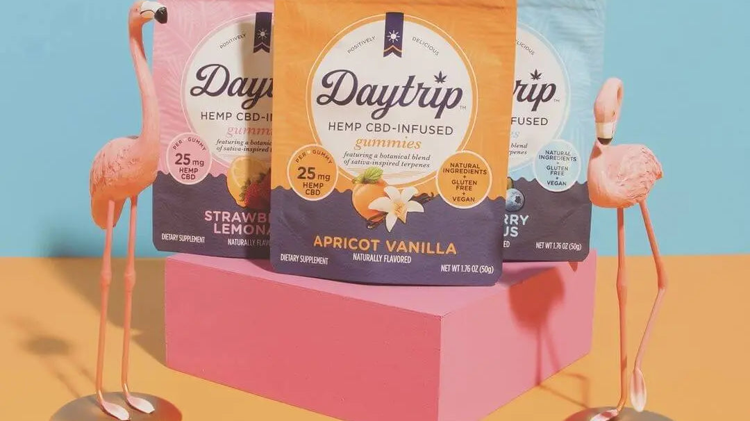 Playful colorful collection of Daytrip CBD infused gummies and toy flamingos on an orange and blue background