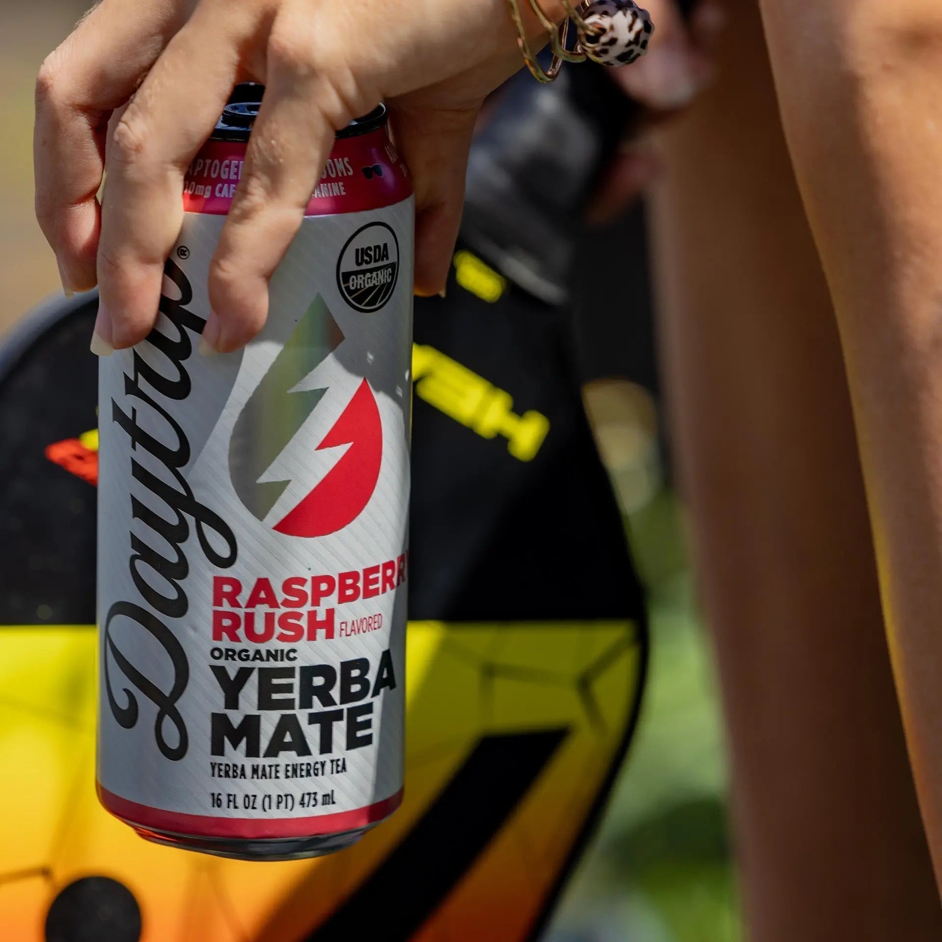 Daytrip Yerba Mate: The Bold, Cool Kick of Natural Caffeine, L-Theanine, and Adaptogenic Mushrooms